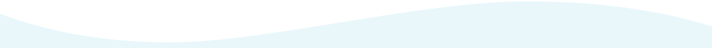 Section Header Border